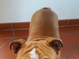 20151107_135921.jpg