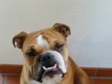 20151107_152343.jpg