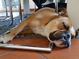 20151107_155419(0).jpg