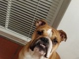 20151107_181138.jpg