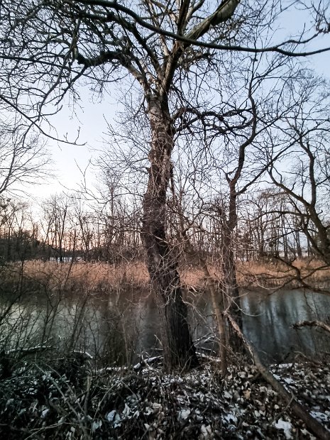 20230206_171703(0)
