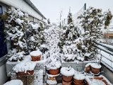 20230122_102842.jpg