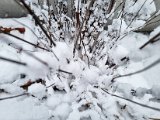 20230122_102918.jpg
