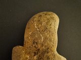 20230124_060835.jpg