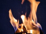20230125_071935.jpg