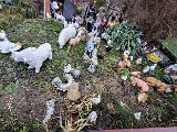 20230126_135329.jpg