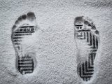 20230128_075617.jpg