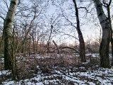 20230206_170358.jpg