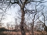 20230206_171703(0).jpg