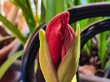 20230207_081937.jpg
