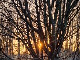 20230207_162906.jpg