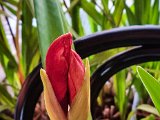 20230208_073158.jpg