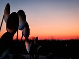 20230209_173753.jpg