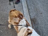 20230210_140028.jpg