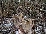 20230210_144909.jpg