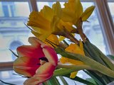 20230211_135357.jpg