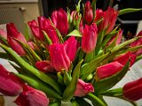 20230213_063703-2.jpg