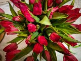 20230213_063739.jpg