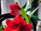 20230213_131217.jpg