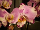 20230213_174831(0)-2.jpg