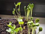 20230215_085727.jpg