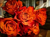 20230215_190657.jpg