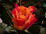 20230216_070343.jpg
