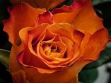 20230216_070402.jpg