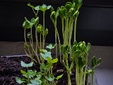 20230216_090527-2.jpg