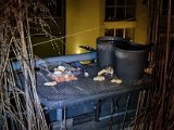 20230218_045805.jpg