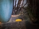 20230218_190033.jpg