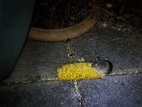 20230218_190051.jpg