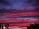 20230220_180507(0).jpg