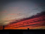 20230221_063442.jpg