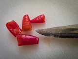 20230223_185059.jpg