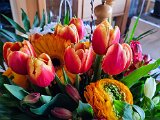 20230308_064310.jpg