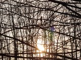 20230310_165807-2.jpg