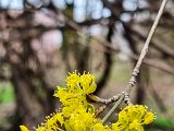 20230312_160141-2.jpg