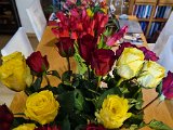 20230312_195025-2.jpg