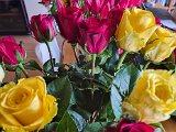 20230313_143832-2.jpg