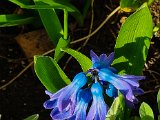 20230316_152944(0)-2.jpg