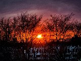 20230320_175536(0).jpg