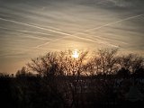20230322_174254.jpg