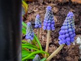 20230324_064249.jpg
