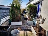 20230406_095448.jpg