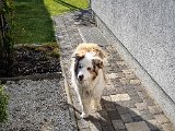 20230406_163339.jpg
