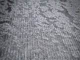 20230408_085232.jpg