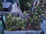 20230412_195819.jpg