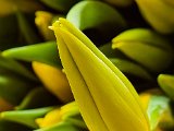20230420_170950.jpg