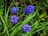 20230421_080947.jpg
